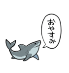 しゃべるホオジロザメ（個別スタンプ：10）