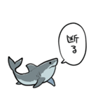 しゃべるホオジロザメ（個別スタンプ：15）