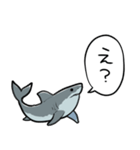しゃべるホオジロザメ（個別スタンプ：22）