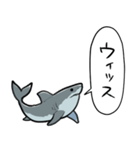 しゃべるホオジロザメ（個別スタンプ：23）