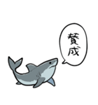 しゃべるホオジロザメ（個別スタンプ：24）