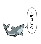 しゃべるホオジロザメ（個別スタンプ：25）