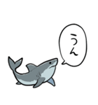 しゃべるホオジロザメ（個別スタンプ：26）