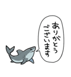 しゃべるホオジロザメ（個別スタンプ：33）