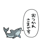 しゃべるホオジロザメ（個別スタンプ：34）