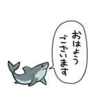 しゃべるホオジロザメ（個別スタンプ：35）