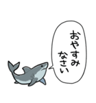 しゃべるホオジロザメ（個別スタンプ：36）