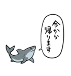 しゃべるホオジロザメ（個別スタンプ：37）