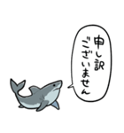 しゃべるホオジロザメ（個別スタンプ：38）