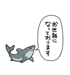 しゃべるホオジロザメ（個別スタンプ：39）