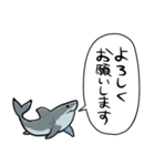 しゃべるホオジロザメ（個別スタンプ：40）