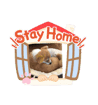 コギたん（個別スタンプ：14）
