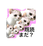 人生を顧みるスタンプ2（個別スタンプ：34）