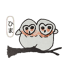 フクロウパート3（個別スタンプ：16）