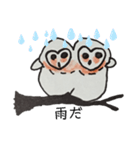 フクロウパート3（個別スタンプ：19）