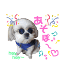 まえののまーくん（個別スタンプ：3）
