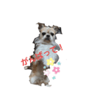 Mix犬ボス（個別スタンプ：2）