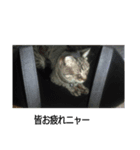 癒やしですね（個別スタンプ：2）