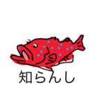 ミーバイであり魚でありスジアラ（個別スタンプ：12）