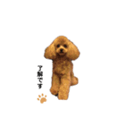 エンジョイバーガー（個別スタンプ：10）