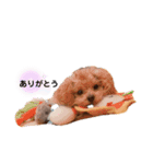 エンジョイバーガー（個別スタンプ：12）