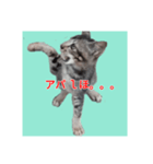 くしんg いむt（個別スタンプ：1）