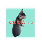 くしんg いむt（個別スタンプ：3）