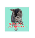 くしんg いむt（個別スタンプ：6）