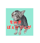 くしんg いむt（個別スタンプ：7）