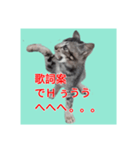くしんg いむt（個別スタンプ：8）