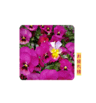 花は癒し（個別スタンプ：2）