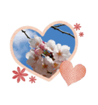 花は癒し（個別スタンプ：3）