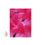 花は癒し（個別スタンプ：8）