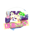 ワンワンワンコだらけ 犬の癒しスタンプ（個別スタンプ：17）