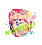 ワンワンワンコだらけ 犬の癒しスタンプ（個別スタンプ：24）