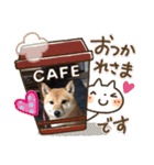 豆柴詰め込みスタンプ(〃ω〃)（個別スタンプ：11）