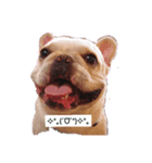 豆太郎 ver.1（個別スタンプ：3）