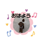 れおくんだよん（個別スタンプ：3）