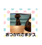 れおくんだよん（個別スタンプ：4）