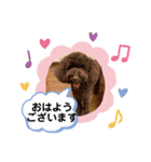 れおくんだよん（個別スタンプ：8）