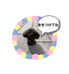 れおくんだよん（個別スタンプ：9）