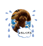 れおくんだよん（個別スタンプ：13）