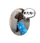 れおくんだよん（個別スタンプ：15）