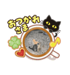 ネコさん大好き❤（個別スタンプ：1）
