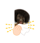 ネコさん大好き❤（個別スタンプ：3）