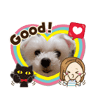 はい❗マルチーズその2（個別スタンプ：5）