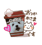 はい❗マルチーズその2（個別スタンプ：6）