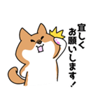 柴犬 ちょ太郎の日常スタンプ（個別スタンプ：3）