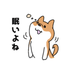 柴犬 ちょ太郎の日常スタンプ（個別スタンプ：26）