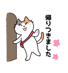 三毛猫みーなさんの敬語スタンプ（個別スタンプ：18）